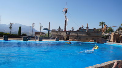 Click to view full size image